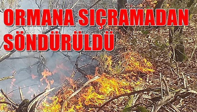 Ormana sıçramadan söndürüldü... 10 DÖNÜM ALAN ZARAR GÖRDÜ