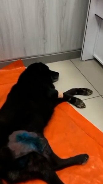 Tümörden kurtuldu, hayata geri döndü - 1