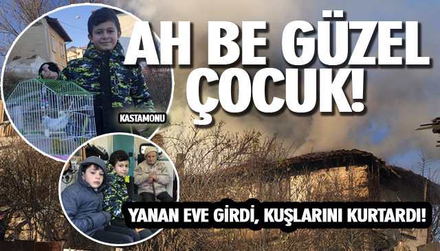 YANAN EVE GİREN ÇOCUK KUŞLARINI KURTARDI! 