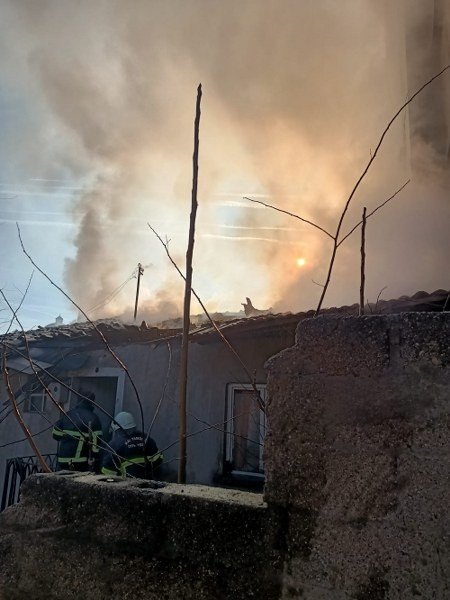 YANAN EVE GİREN ÇOCUK KUŞLARINI KURTARDI! - 4
