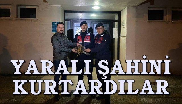 YARALI ŞAHİNİ KURTARDILAR