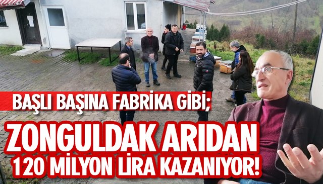 ZONGULDAK ARIDAN 120 MİLYON LİRA KAZANIYOR!