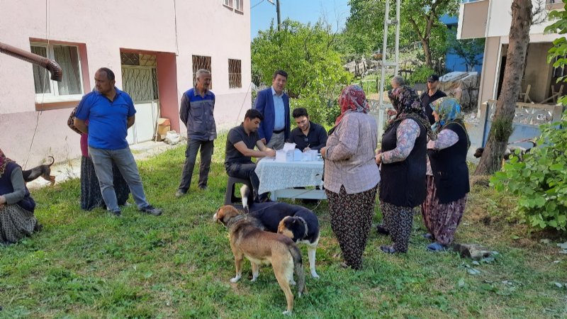 ZONGULDAK’TA ÇİP TAKILAN HAYVAN SAYISI AÇIKLANDI - 1