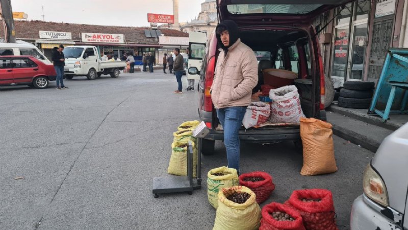 ALAPLI’DA KESTANE BORSASI KURDULAR - 1