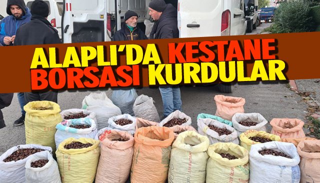 ALAPLI’DA KESTANE BORSASI KURDULAR