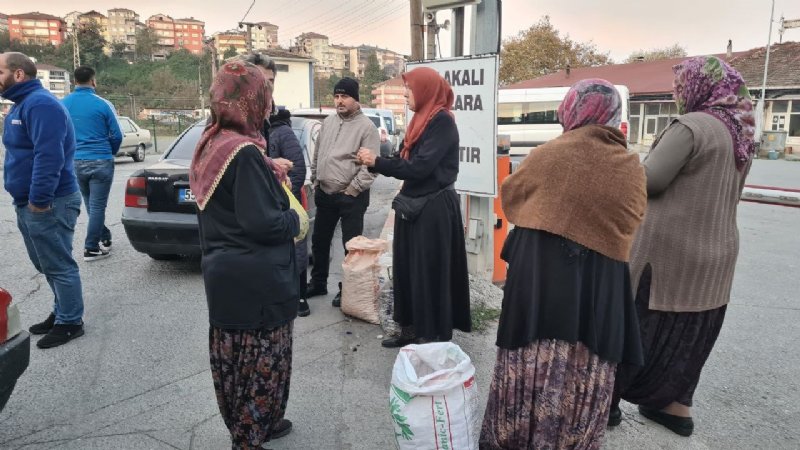 ALAPLI’DA KESTANE BORSASI KURDULAR - 5