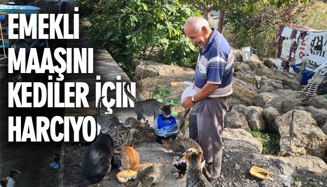 EMEKLİ MAAŞINI KEDİLER İÇİN HARCIYOR 