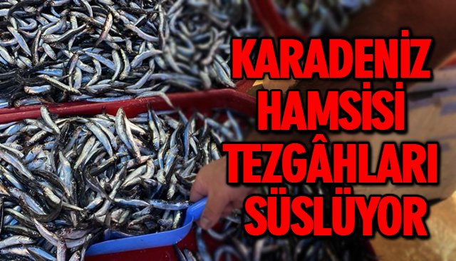 KARADENİZ HAMSİSİ TEZGÂHLARI SÜSLÜYOR