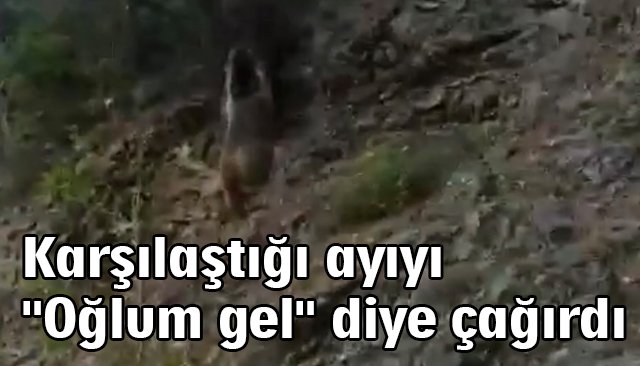 Karşılaştığı ayıyı ´´Oğlum gel´´ diye çağırdı