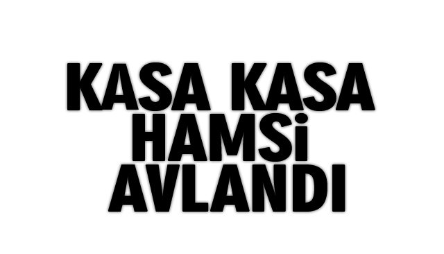 KASA KASA HAMSİ AVLANDI 