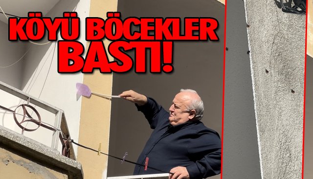 KÖYÜ BÖCEKLER BASTI!