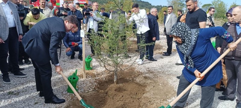 Patlamada şehit olan 43 madenci hatıra ormanında yaşatılacak - 2
