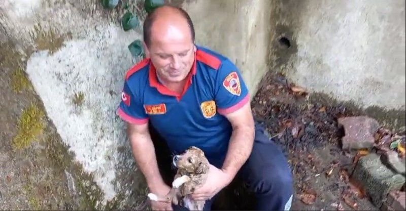 SIKIŞAN YAVRU KÖPEK KURTARILDI - 1