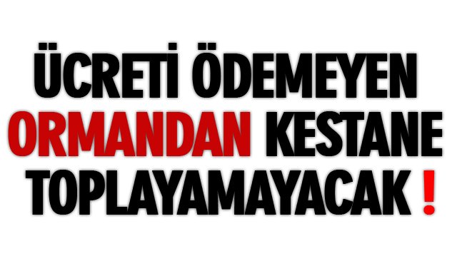 ÜCRETİ ÖDEMEYEN ORMANDAN KESTANE TOPLAYAMAYACAK!