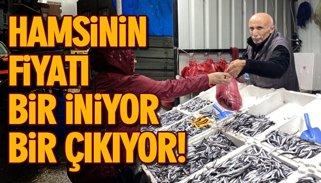 HAMSİNİN FİYATI BİR İNİYOR BİR ÇIKIYOR!