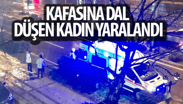 KAFASINA DAL DÜŞEN KADIN YARALANDI