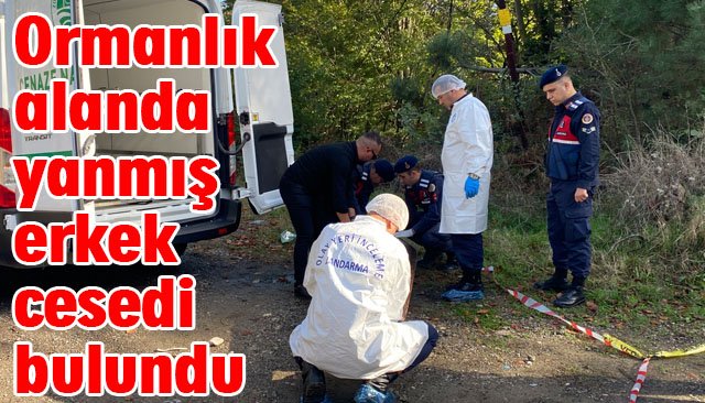 Ormanlık alanda yanmış erkek cesedi bulundu