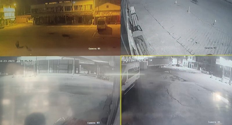 SOKAKLARI SÜPÜRÜRKEN KARŞISINA AYI ÇIKTI! - 1
