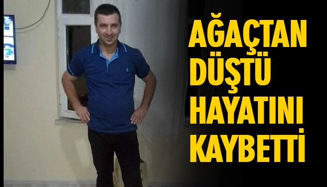 AĞAÇTAN DÜŞTÜ HAYATINI KAYBETTİ