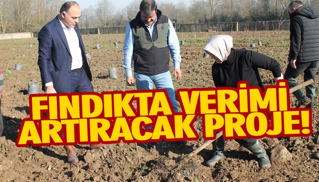 FINDIKTA VERİMİ ARTIRACAK PROJE!