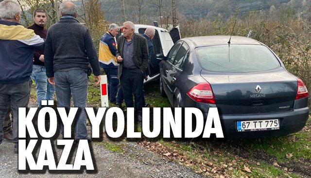 KÖY YOLUNDA KAZA