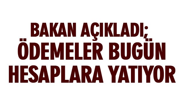 ÖDEMELER YATIYOR