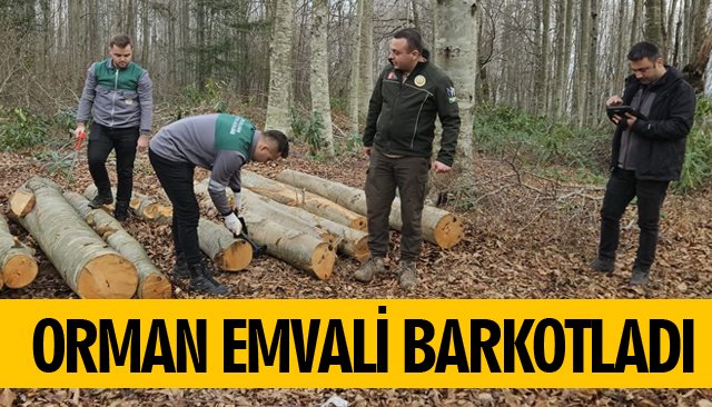 ORMAN EMVALİ BARKOTLADI