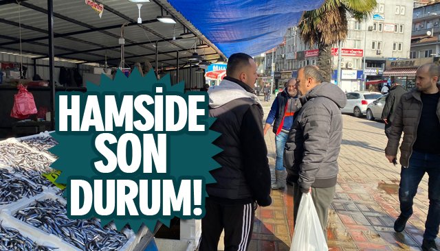 HAMSİDE SON DURUM!