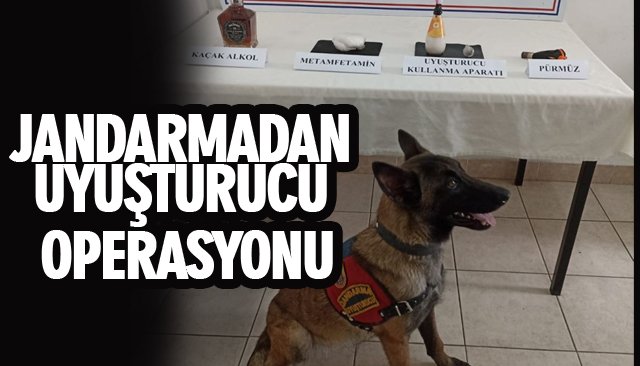 JANDARMADAN UYUŞTURUCU OPERASYONU