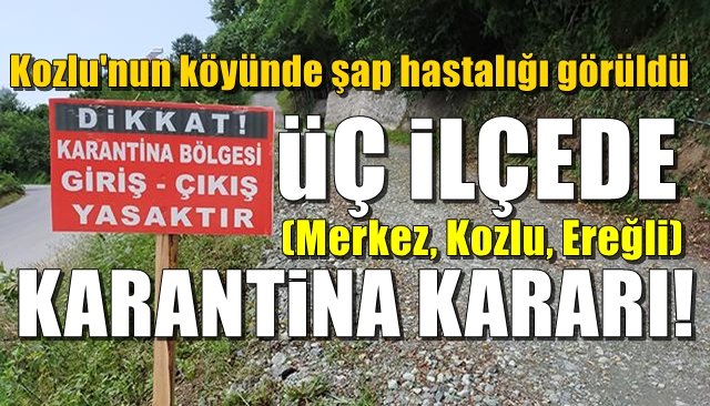 Kozlu’nun köyünde şap hastalığına rastlandı... ÜÇ İLÇEDE KARANTİNA KARARI