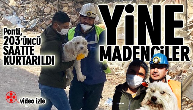 MADENCİLER 203’ÜNCÜ SAATTE PONTİ’Yİ KURTARDI