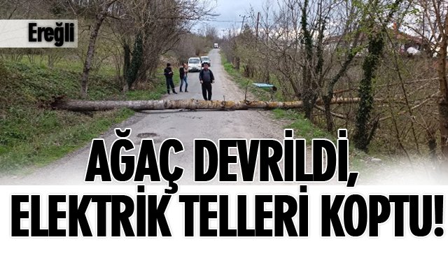 AĞAÇ DEVRİLDİ, ELEKTRİK TELLERİ KOPTU!