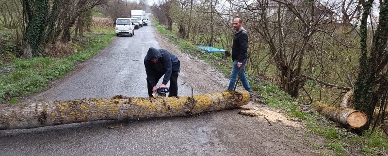 AĞAÇ DEVRİLDİ, ELEKTRİK TELLERİ KOPTU! - 1