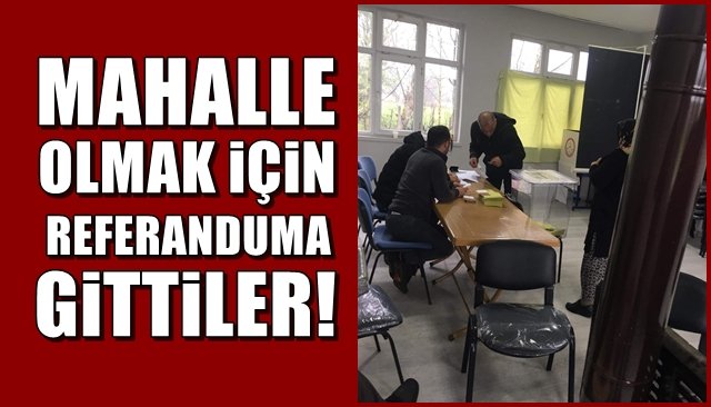 Bin üçyüz nüfuslu köy mahalle olmak için referanduma gitti