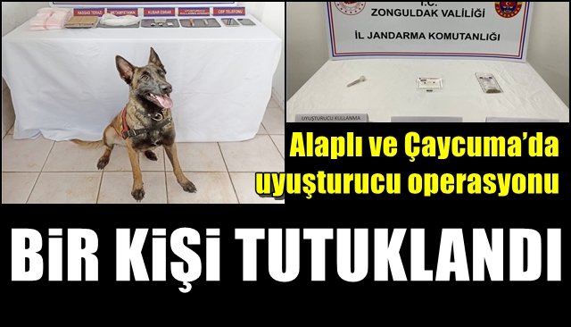 Alaplı ve Çaycuma’da uyuşturucu operasyonu BİR KİŞİ TUTUKLANDI