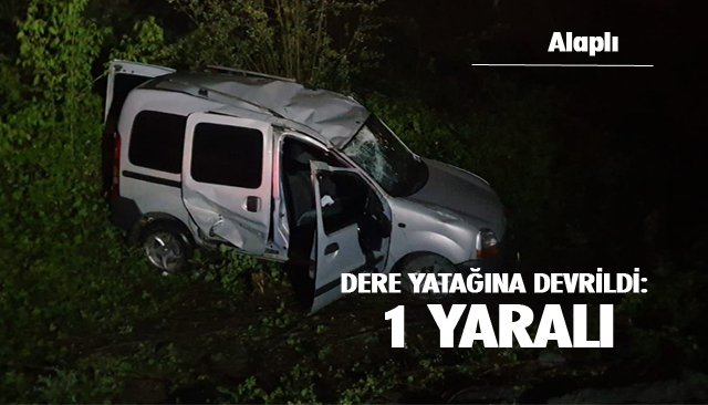 DERE YATAĞINA DEVRİLDİ: 1 YARALI 