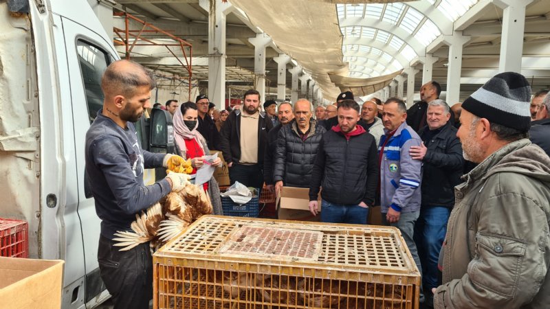 ZİRAAT ODASI TAVUK DAĞITTI - 3