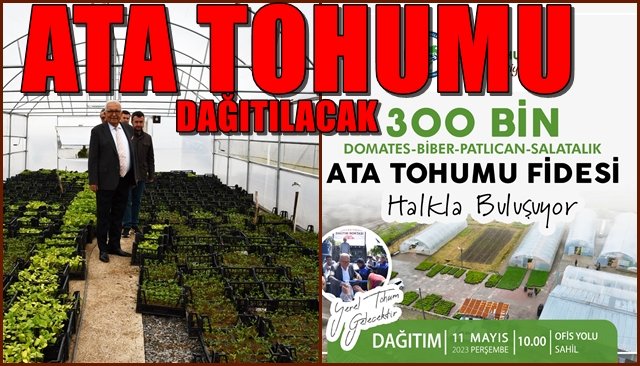 300 BİN ATA TOHUMU FİDESİ DAĞITILACAK!