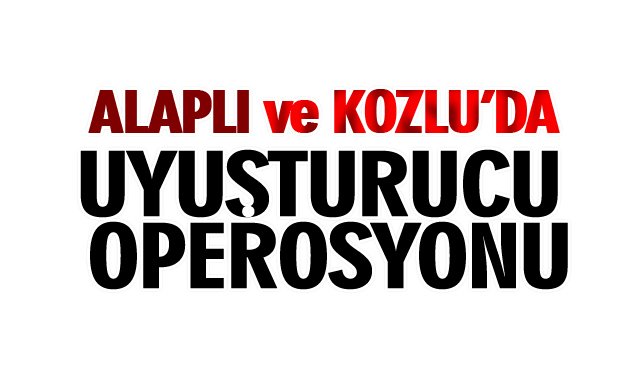 ALAPLI VE KOZLU’DA UYUŞTURUCU OPEROSYONU