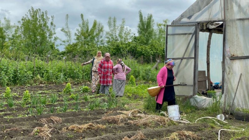 Çapayı bıraktılar, mızrabı aldılar… TARLADAN SANATA - 3