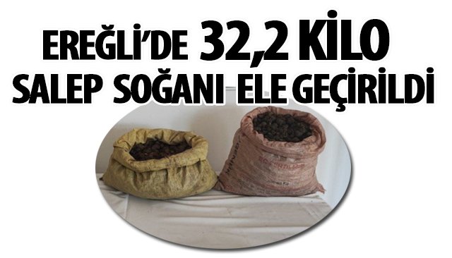 EREĞLİ’DE 32,2 KİLO SALEP SOĞANI ELE GEÇİRİLDİ