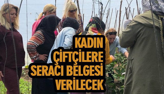 KADIN ÇİFTÇİLERE SERACI BELGESİ VERİLECEK 