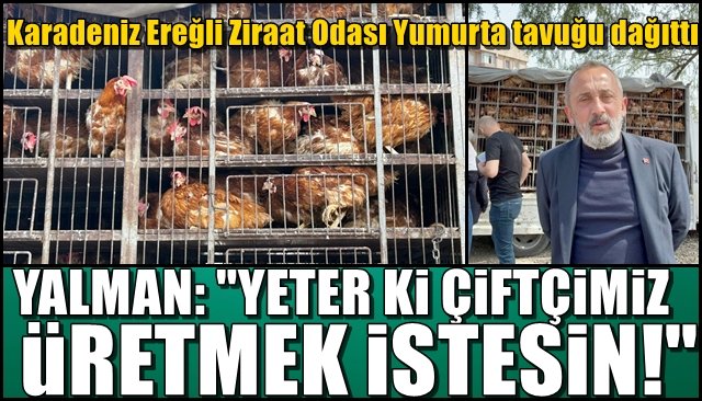 Karadeniz Ereğli Ziraat Odası Yumurta tavuğu dağıttı... YALMAN: “YETER Kİ ÇİFTÇİMİZ ÜRETMEK İSTESİN”