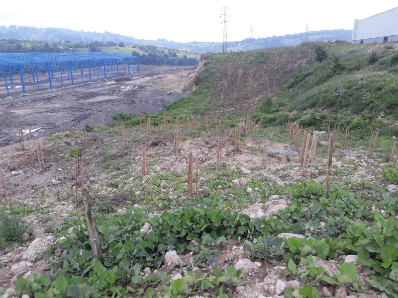 ALAPLI’DA KARMA MEYVE BAHÇESİ PROJESİ - 1