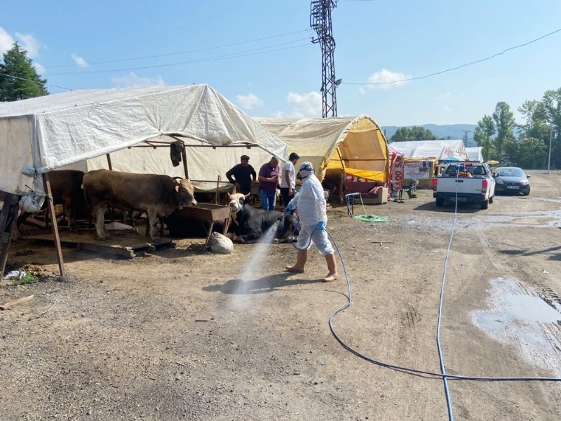 Belediye kurban yakalama timi kurdu, kurban pazarı denetlendi… KEMENT ATMAYI ÖĞRENDİLER - 6