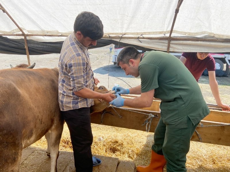 Belediye kurban yakalama timi kurdu, kurban pazarı denetlendi… KEMENT ATMAYI ÖĞRENDİLER - 8