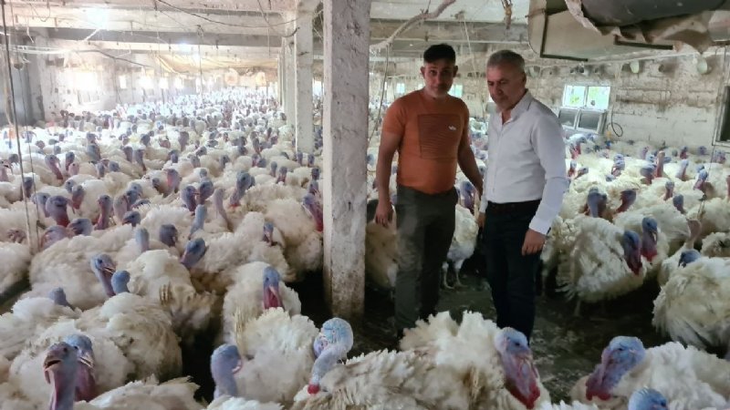 Hindi üretimine hobi olarak başladı… ŞİMDİ TALEPLERE YETİŞEMİYOR - 3