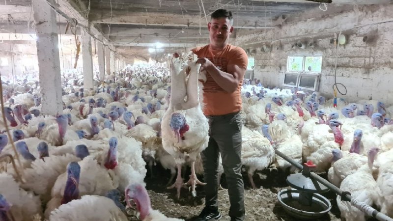 Hindi üretimine hobi olarak başladı… ŞİMDİ TALEPLERE YETİŞEMİYOR - 4