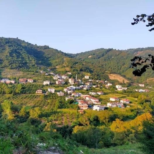 HIRSIZLAR BOŞ EVLERE DADANDI! - 1