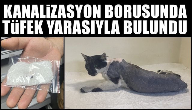 KANALİZASYON BORUSUNDA, OMURİLİĞİNDE TÜFEK MERMİSİYLE BULUNDU